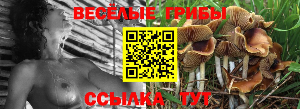  Кокаин Биробиджан