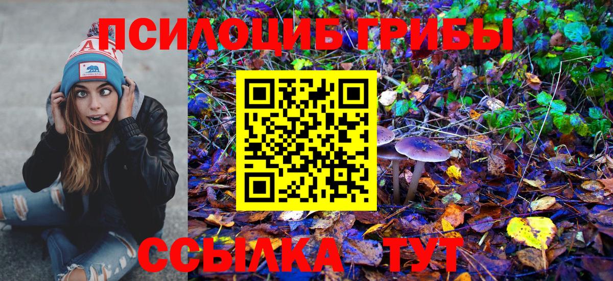 Псилоцибиновые грибы Psilocybine cubensis Биробиджан