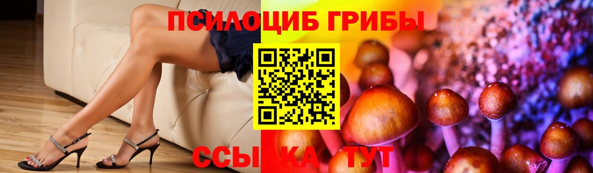 Галлюциногенные грибы мицелий  купить наркотики сайты  Вход с VPN  Биробиджан  Псилоцибиновые грибы GOLDEN TEACHER 